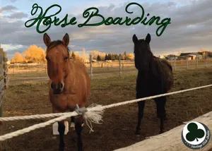 HCS Horse Boarding