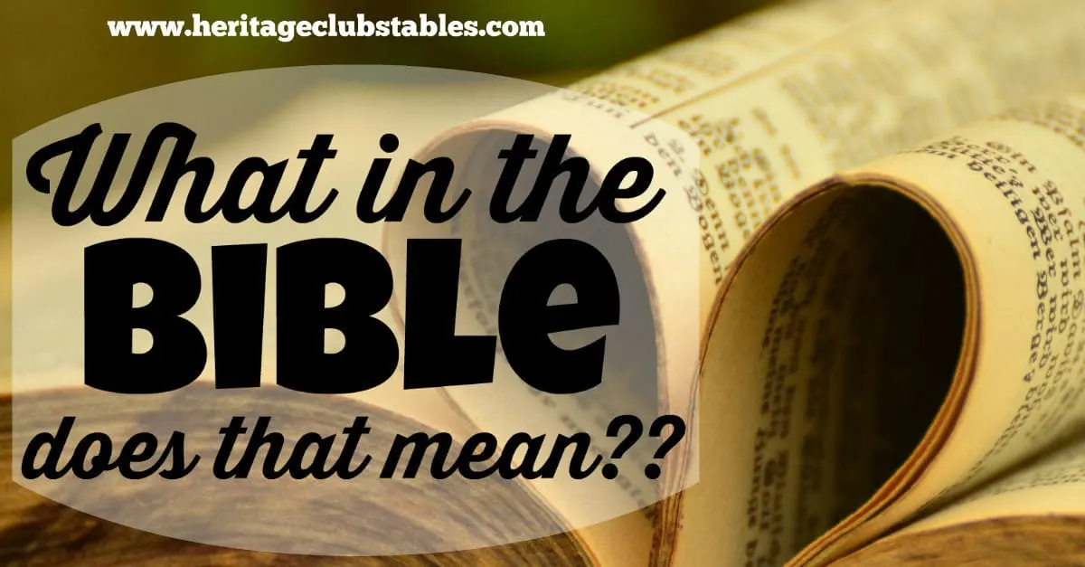 Have you ever read passages in the Bible and said, "What in the Bible does that mean?" There are Bible verses we all wish were clarified more