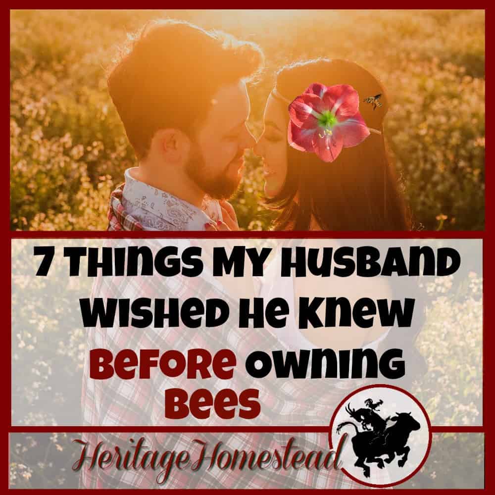 7 things you wished you had known before owning bees. Go kiss your wife, she deserves it. And so do you, for spoiling your wife with a hive of bees.