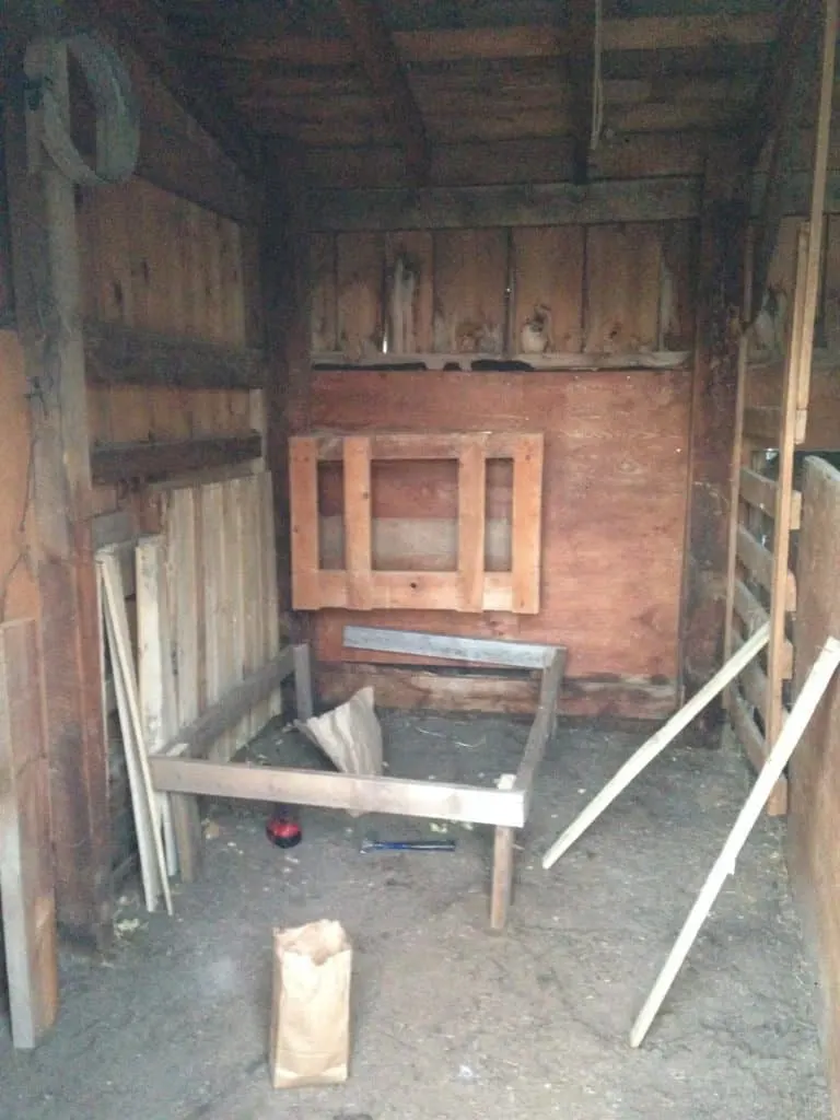 There are many options for a milking stand and they are easy to build. I will share with you how I built mine to give you an idea of what may work for you.