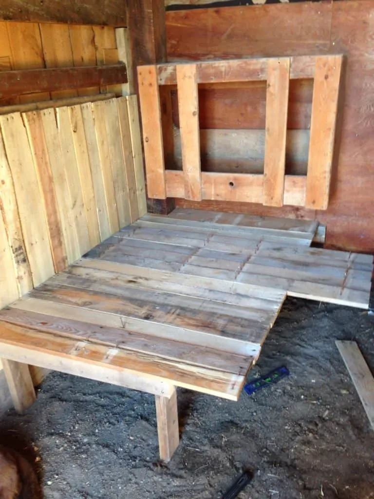 There are many options for a milking stand and they are easy to build. I will share with you how I built mine to give you an idea of what may work for you.