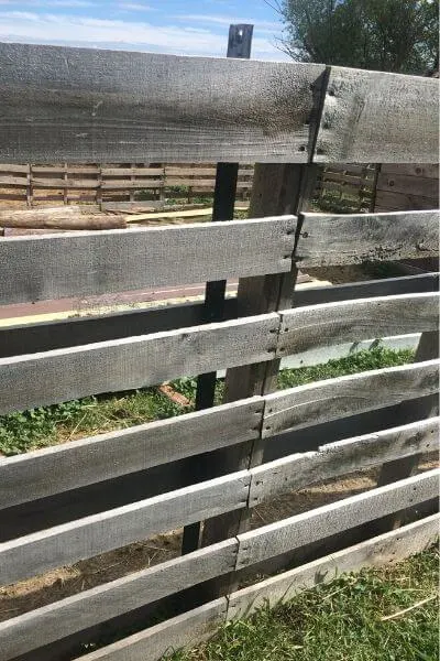 Pallets used for a fence with a steal post holding it up