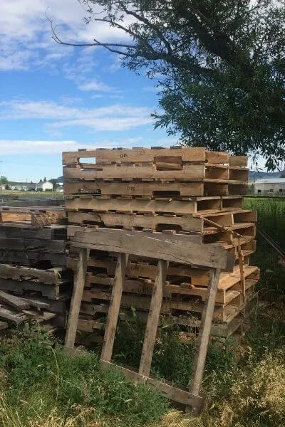 A pile of pallets to be used for our fencing for our goats