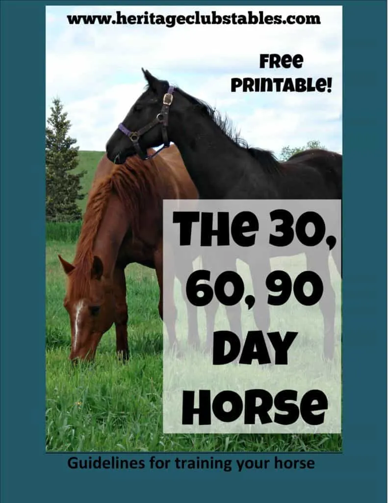 thumbnail of 30 60 90 day horse
