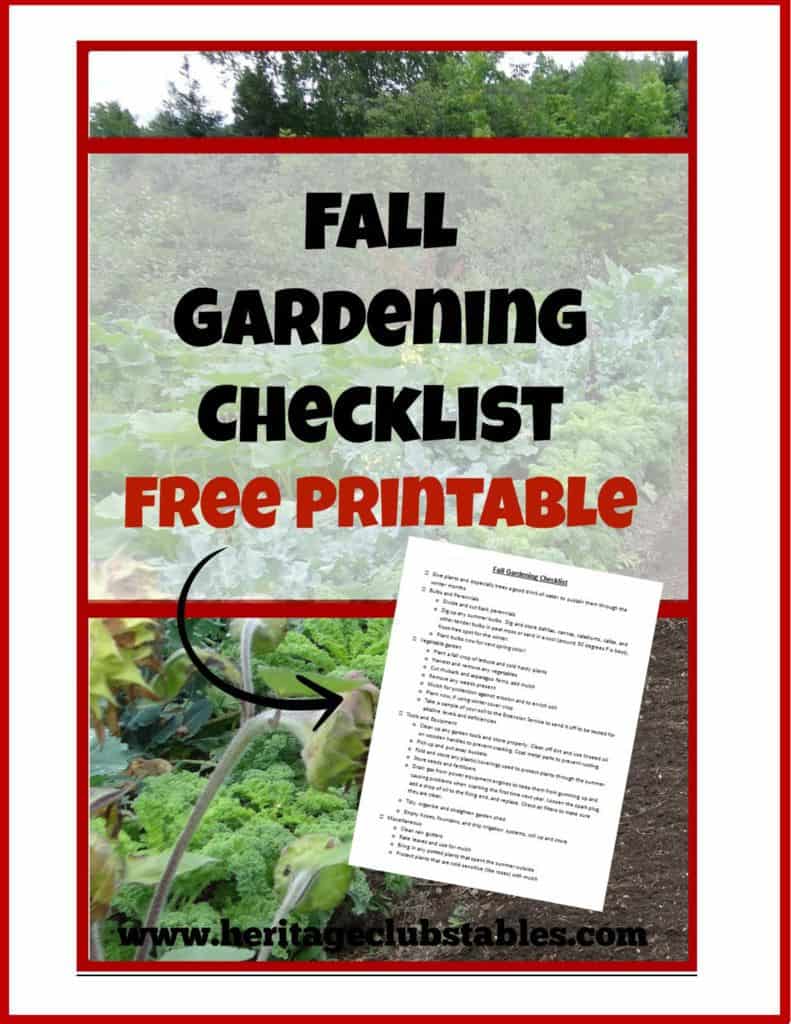 thumbnail of Fall Gardening Checklist