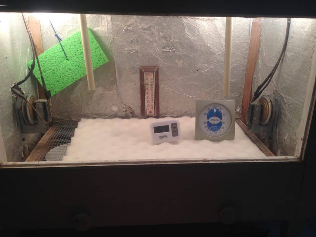 homemade egg incubator temperature