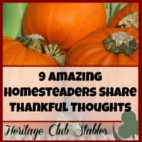“Honey, God will never bless us with more, until we are thankful for what we already have…”