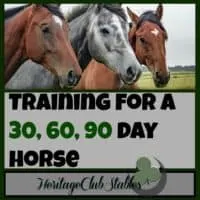 Horses | Horse Training | Horse Care | "What should a horse know by the end of 30 days?" Print out this helpful, FREE printable: The 30 60 90 day horse to give you a training starting point.