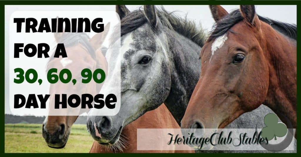 The 30, 60, 90 Day Horse : What should they know?