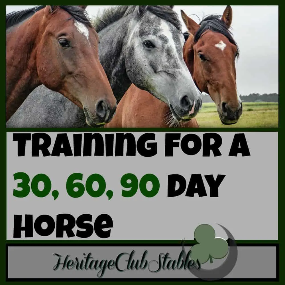 Horses | Horse Training | Horse Care | 