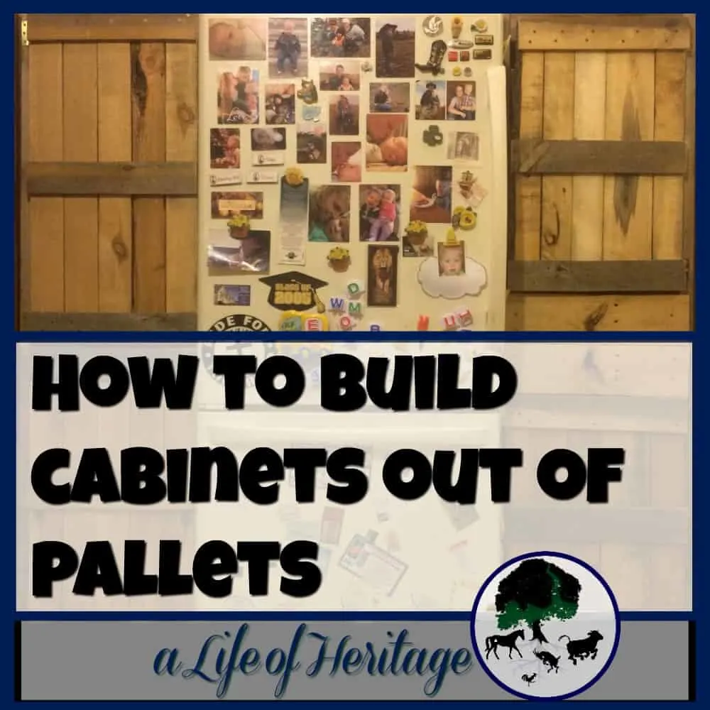 Pallets | Building with Pallets | Cabinet Built with Pallets | Planned out just for your home, pallet cabinets can be the perfect addition to your home and give you much more needed storage space!