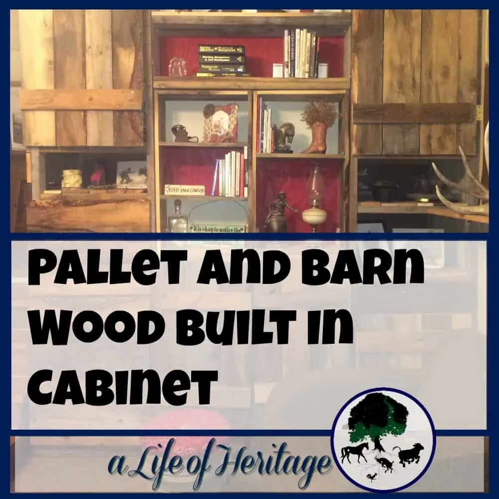 Pallets | Barn Wood | How to build a cabinet | How to dream up and build yourself a homemade built in cabinet to suit your needs just perfectly! Pallets and barn wood are the foundation of this project!