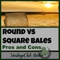 Horses | Horse Care | Horse Hay | Hay for Livestock | Explore pros and cons of feeding square bales verses round bales. Think through the different options to see what's best for you!