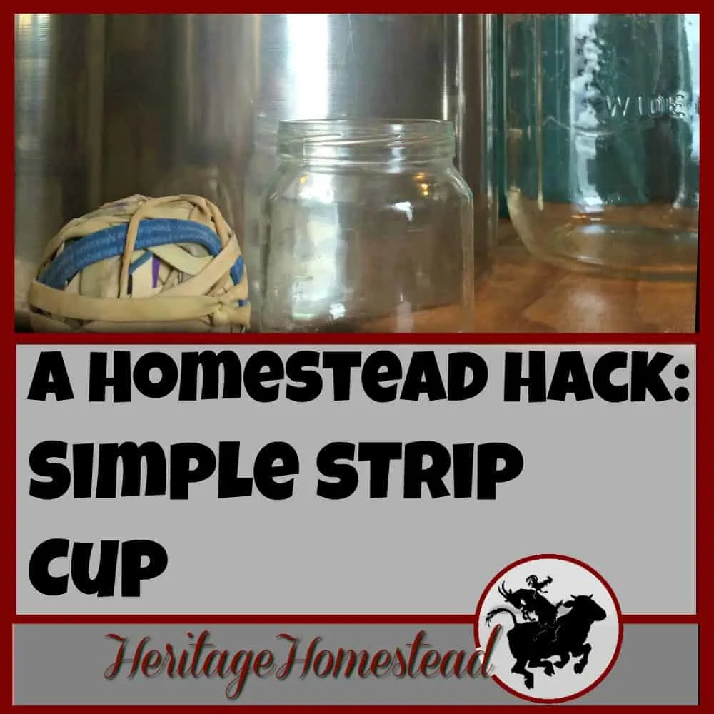 A homestead hack: a simple strip cup for milking. Would you love to have a simple, FREE alternative to a strip cup? We've got the solution!