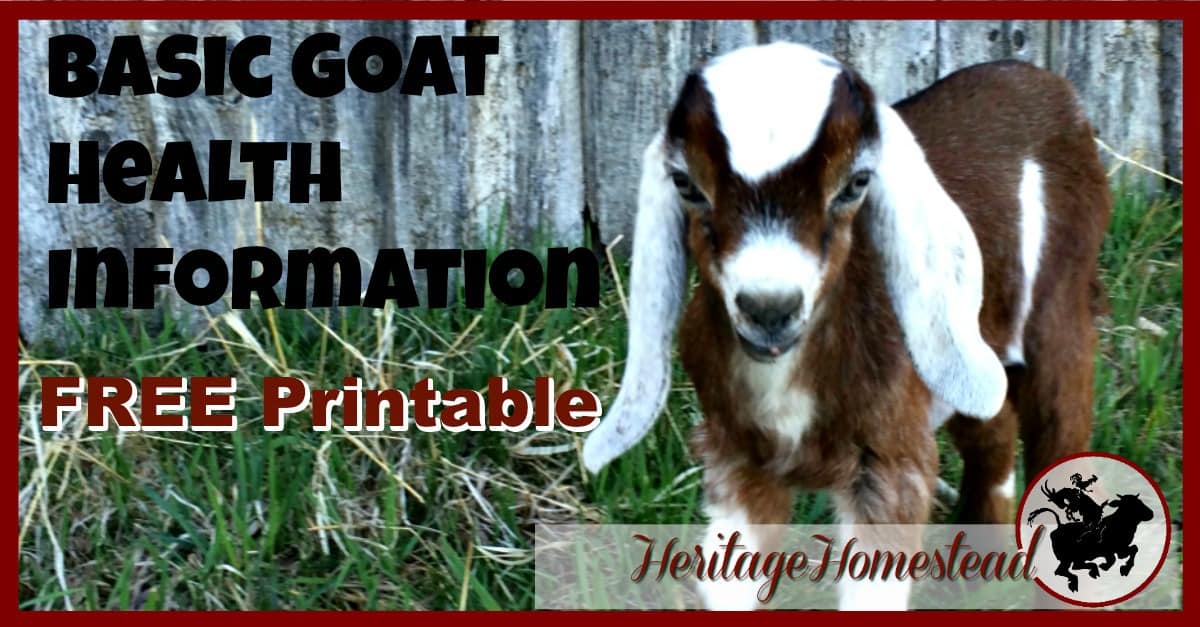 Basic Goat Health Information