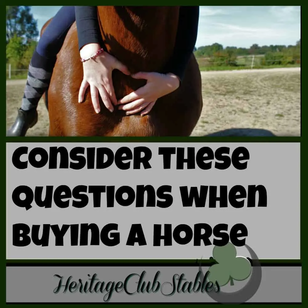 Horses | Owning Horses | Buying a Horse | Print out the FREE worksheet: 