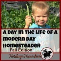 Homesteading | Fall Garden Checklist | Homestead Work | Homesteading in the Fall | A day in the life of a modern day homesteader: wonderful, full of blessings but not much down time! Download a free fall garden checklist.