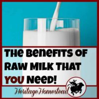 The benefits of raw milk are astounding. If your family members are milk drinkers, you will find it worth it to look into raw milk.