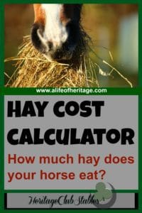 Hay Cost Calculator to Make Your Horse Feed Planning Made Easy!