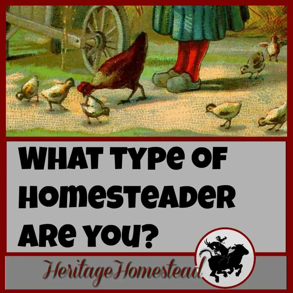 Homesteading | Take this fun quiz to find out where you fall in the spectrum! And let me know your results! What a journey we are on, right?