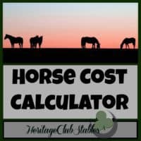 Horses | Horse Care | Caring for horses | What does a horse really cost? Please utilize the FREE Horse Cost Calculator provided. Take a look at what owning a horse would really cost you