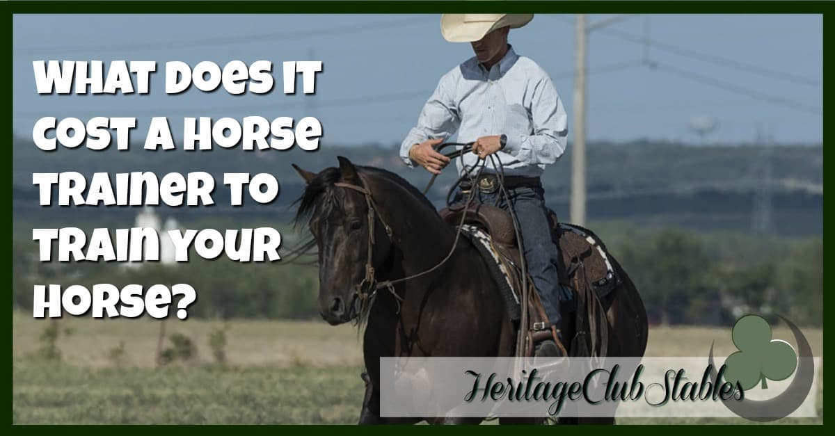 What Does It Cost A Horse Trainer To Train Your Horse HCS