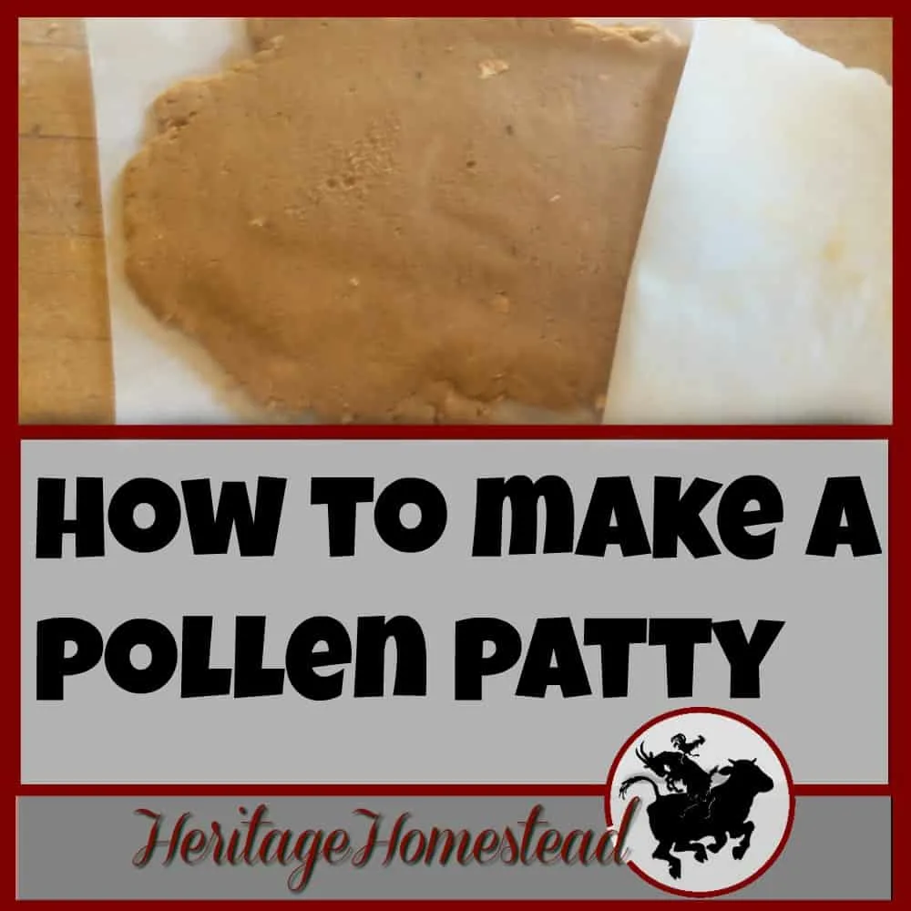 Bees | How to Bees | Bee Care | Watch this video to get an idea on how to make pollen patties. Pollen patties are a high protein substitute that supplies lipids, minerals, and vitamins
