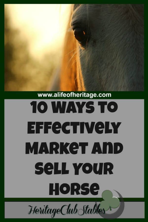 10 Ways to Effectively Market and Sell Your HorseThey're Important!