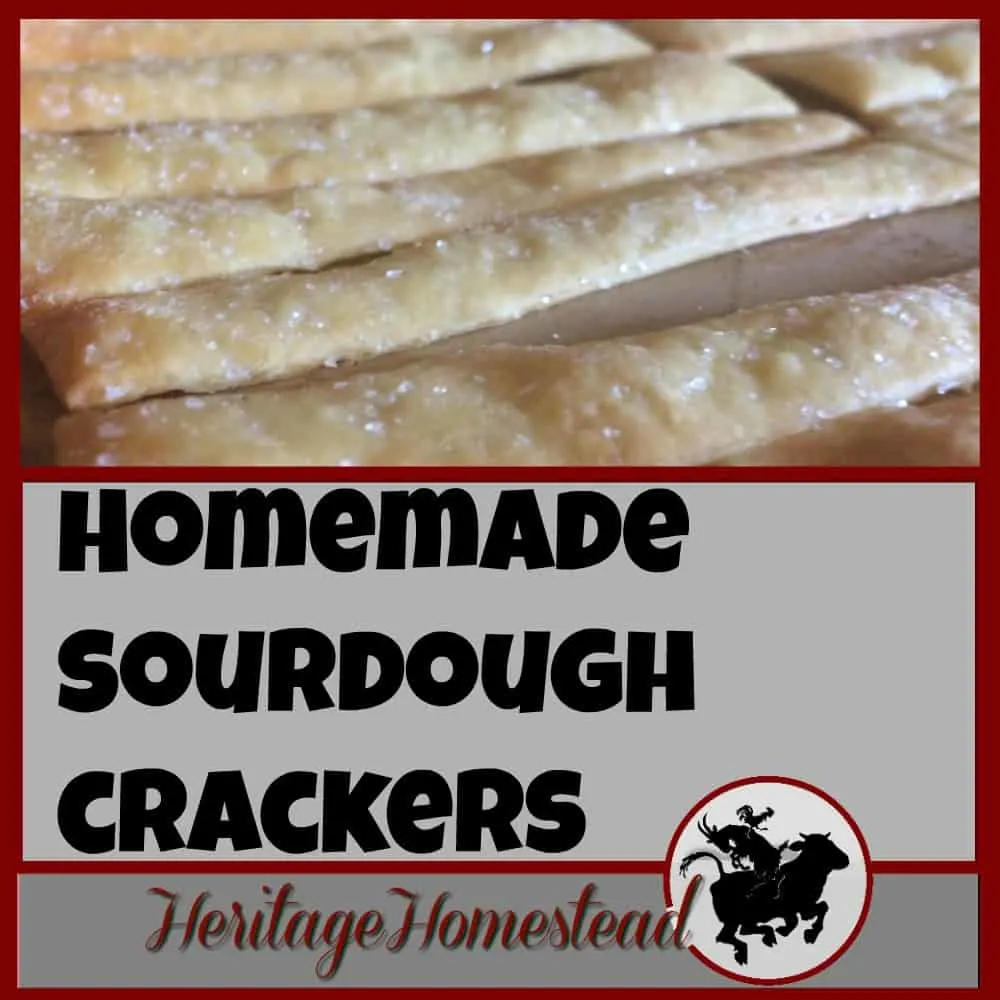 Homemade crackers | Sourdough crackers | Soup crackers | Thin, crispy & flavor filled sourdough KAMUT wheat cracker uses the organic and non-genetically altered wheat. Great for dips, cheese and a snack by itself