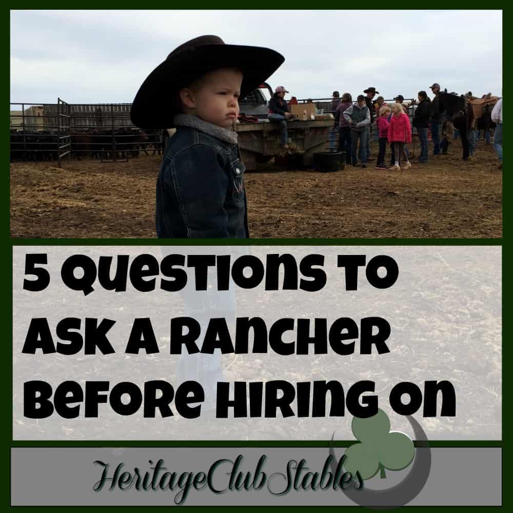 Cowboy lifestyle | New Ranch Job | Cowboy | Questions for your ranch boss | 5 questions to ask a rancher before hiring on. It's time to find the right job for you. You, cowboy, need to realize your worth!