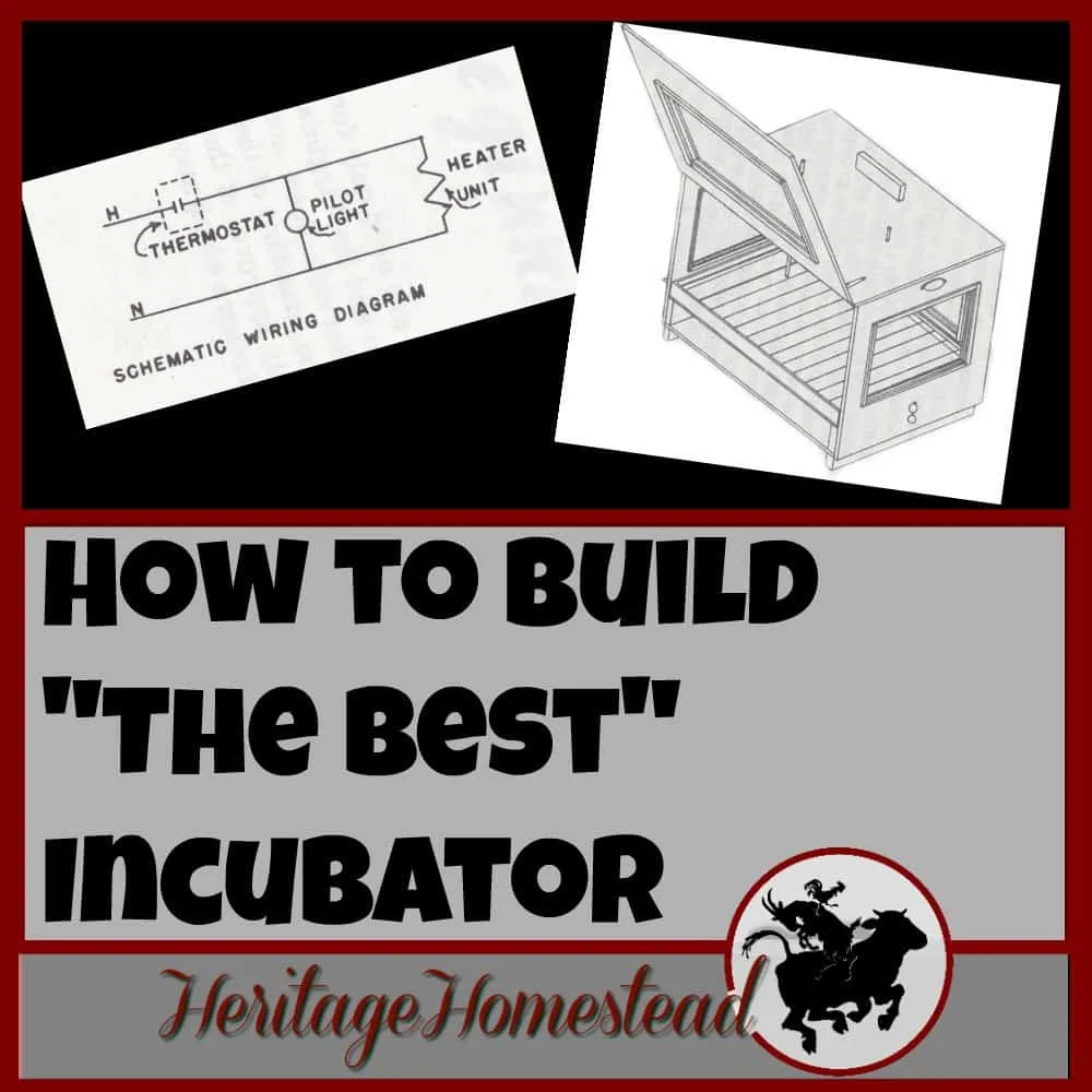 Incubating eggs | Build an incubator | Hatching eggs | How to build the best incubator. The incubator you choose is the most important decision you will make if you plan on regularly hatching eggs.