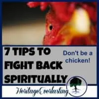 Spiritual encouragement | Christian Living | Spiritual warfare | 7 tips to fight back spiritually. Don't be a chicken. Learn what it takes to be a spiritual force so you aren't knocked down again and again.