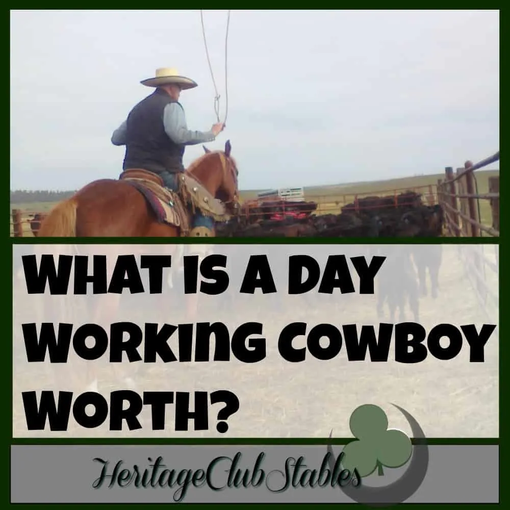 Cowboy | Cowboy Lifestyle | Cowboy jobs | What does a cowboy do? | What is a day working cowboy worth? Don't sell yourself short. You may not be a doctor, but you are worth your salt. Know what you are worth.