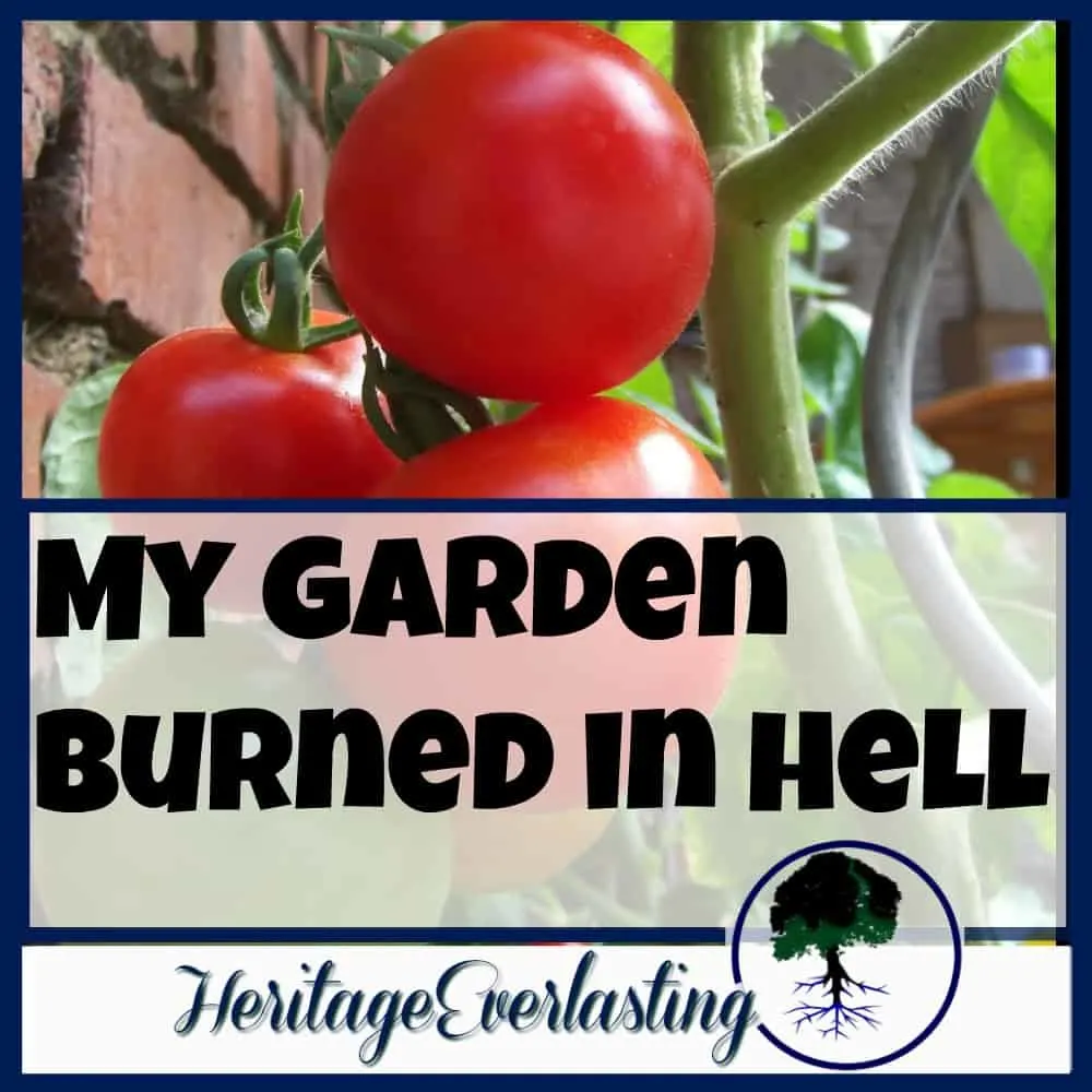 Spiritual Encouragement | Christian Living | Strengthening your spiritual life | My garden burned in hell.That caught your attention, right? Me too! When I first thought it, I sat back on my heels and thought, "Oh, man. That's bad."