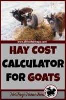 Hay Cost Calculator for Goats: How Much Hay Do I Need?