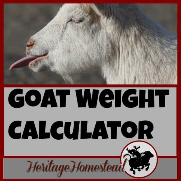 goat due date calculator