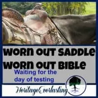 Cowboy Lifestyle | Christian cowboy | Spiritual Encouragement | Christian Living | Worn out saddle. Turn to Him always: during the smooth long trot of life and while hanging upside down, hung up in the saddle of unexpected frustrations.