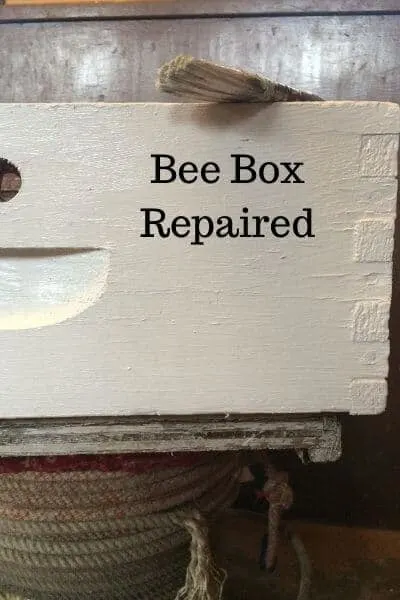 white bee super painted and repaired