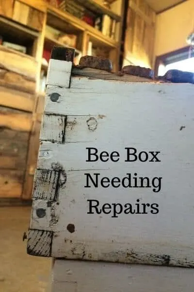 white bee super needing repairs