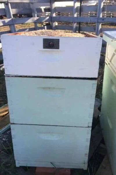 three bee hives with moisture quilts on top