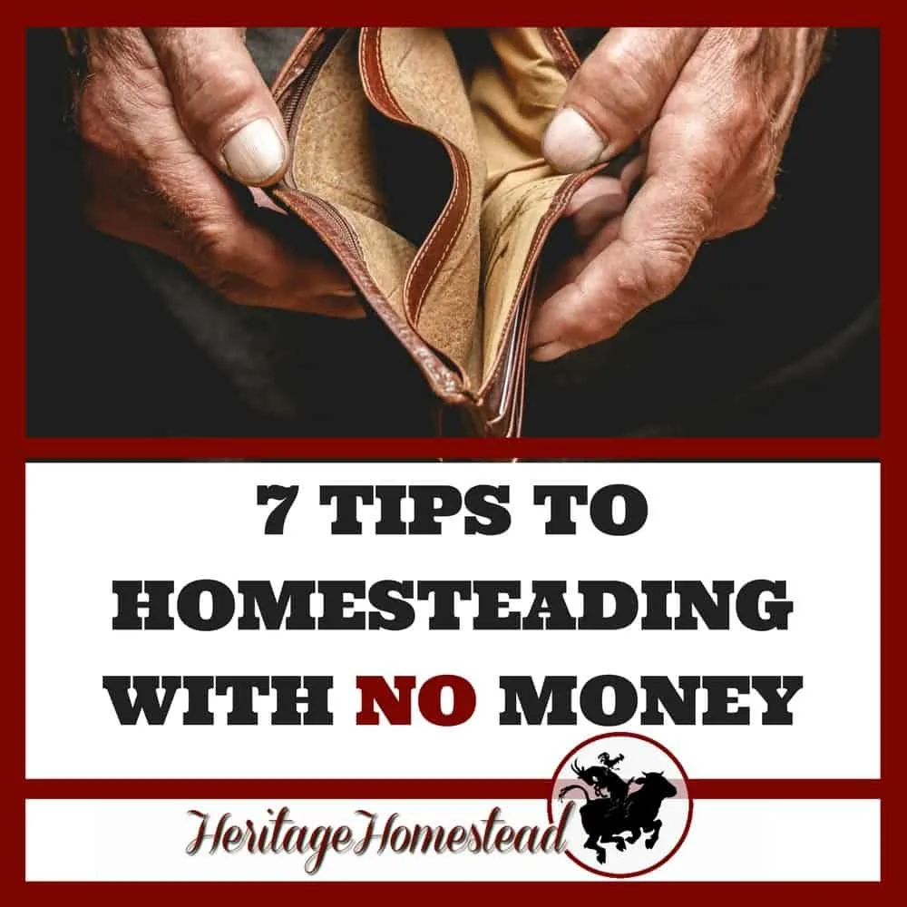 Homesteading | Money Making Homestead | Begin Homesteading | Starting to Homestead | Farm life | How to Homestead | 7 tips to homesteading with no money. You can set out with this 7 step plan and each year get closer to your homesteading dreams. Just don't give up.