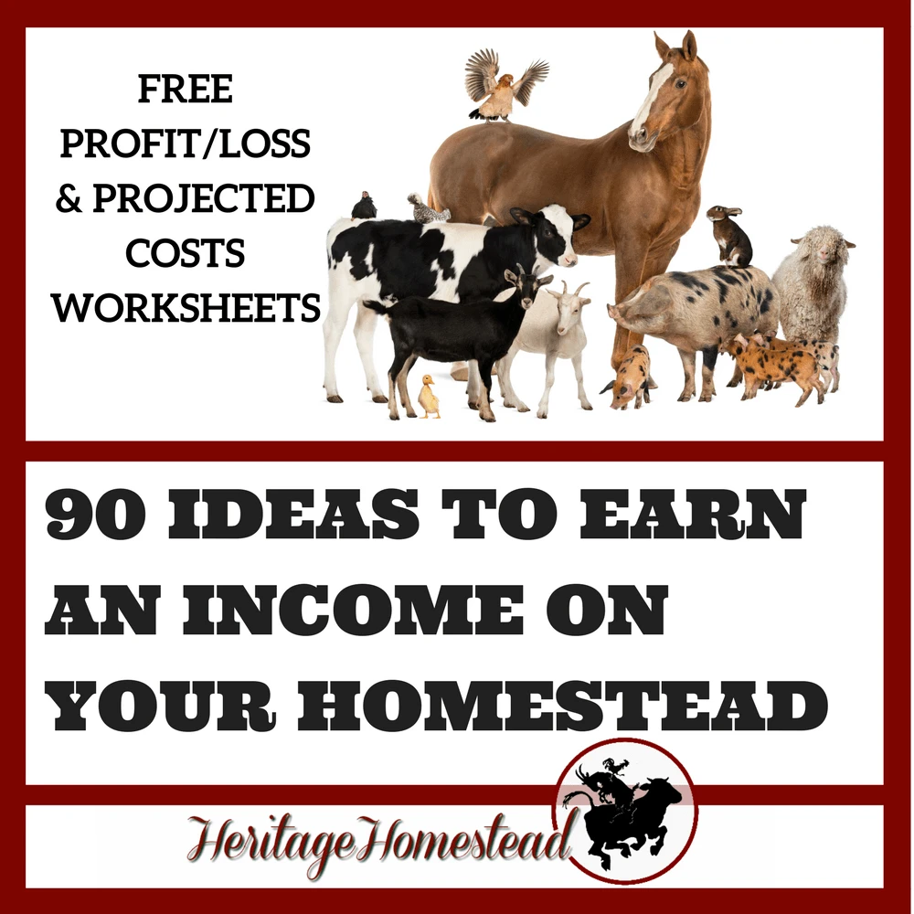 Homesteading | Making money on a Homestead | Earn an income homesteading | Homesteading income | Money making homestead | FREE PROFIT/LOSS & PROJECTED COSTS WORKSHEETS. What does it take to be profitable homesteading? Over 90 ideas to get you started!