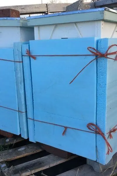 Bee boxes wrapped in insulation for winter