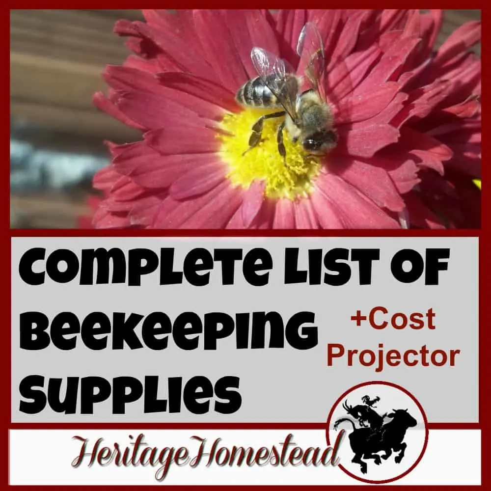 Bees | Bee Care | Complete list of Beekeeping supplies | Bee Cost projector | A complete list of beekeeping supplies: you should be well aware of what you will need to have ready and what the whole endeavor will cost.