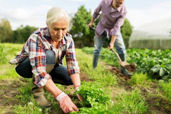 Garden Weeds? Here's Why and How to Fix it! -- A Life of Heritage