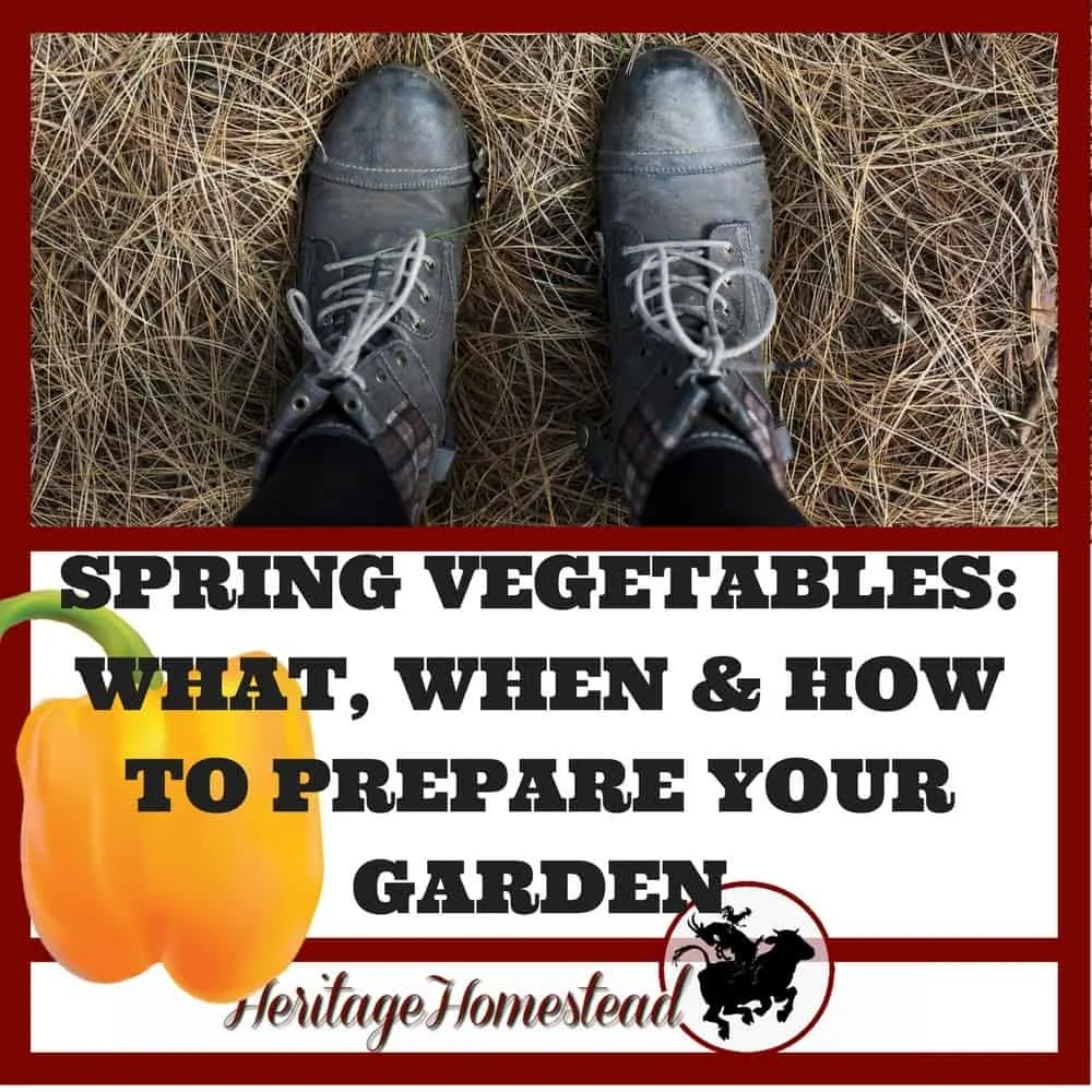 Spring Vegetables | Spring Gardening | Spring garden ideas | No till gardening | Gardening | Garden Ideas | Spring planting guide | Prepare your garden | 12 tips on how to prepare, plant and care for your spring vegetables. The health of your vegetables is in the health of your soil.