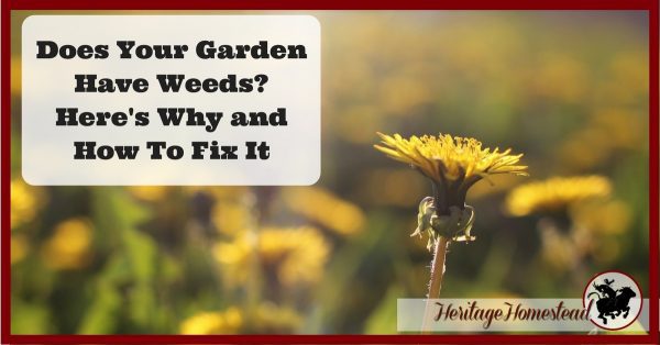 Garden Weeds? Here's Why and How to Fix it! -- A Life of Heritage