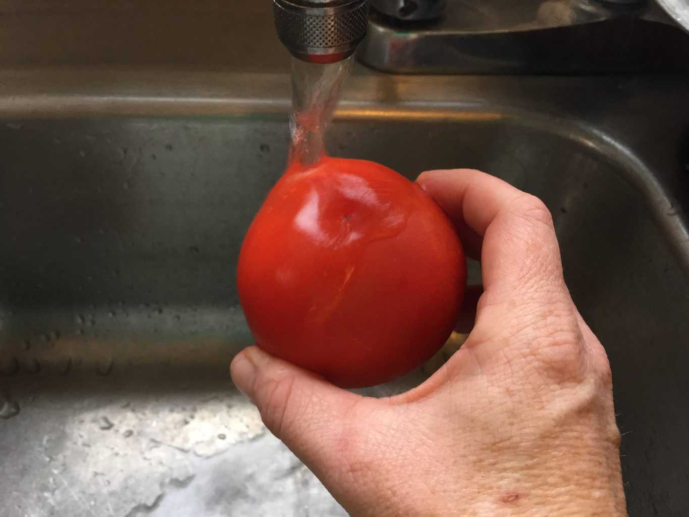 tomato timer es
