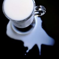 Benefits of Raw Milk That YOU Need!