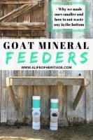 Easy DIY Goat Mineral Feeder For Healthy Goats!